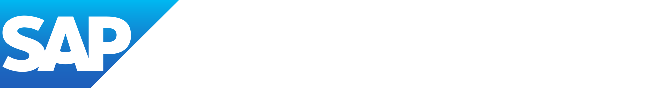 SAP Business One Logo 1 SAP Business One Logo 1